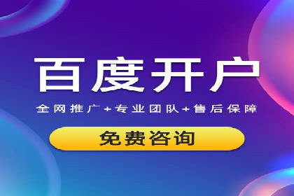 案例解读：网络推广与竞价策略